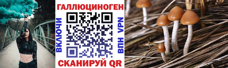Псилоцибиновые грибы ЛСД  Купить  Белово 